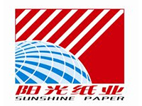 世纪阳光集团公司 